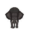 bull elephant